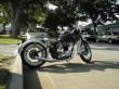 Jedd's Triumph!