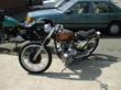 Lucky's Triumph!